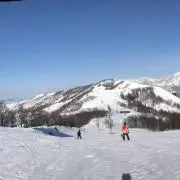 PIKOの画像