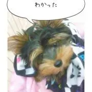 wakacima