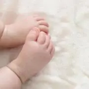 みかんの画像