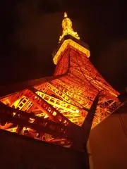 ポンマル♡の画像