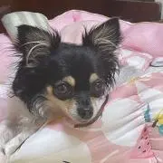しーちゃん