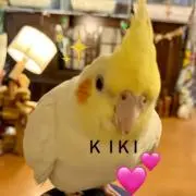 ちぃちゃん