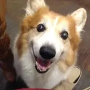 さちこ