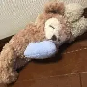 Kasumisou プロフ必読の画像
