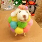 HOLLeの画像