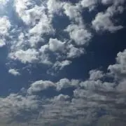 kaaoの画像