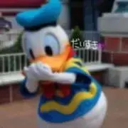 どなすた