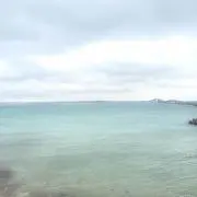 のんの画像