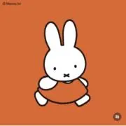 mimiの画像