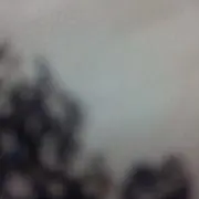 Ｙ