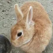 mtの画像