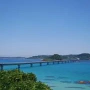 どらどら