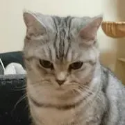 ショコラ