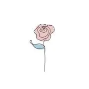 薔薇の画像