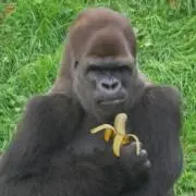 てくてくてっくの画像