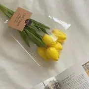 にょみ ⚠️購入前コメントお願いします。の画像