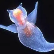 おはよう