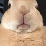 まさおの画像