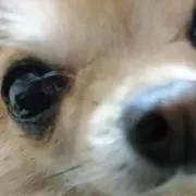 tamaの画像