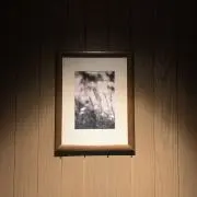 なおの画像