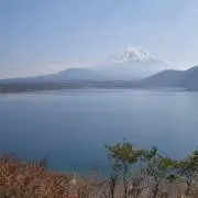 FUJIの画像