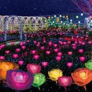 かじゅまる「自己紹介文必読」の画像