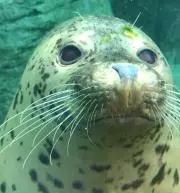 なかなかの画像