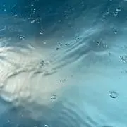 どんぐり。の画像