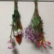imakの画像