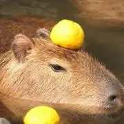 Yasu Tの画像