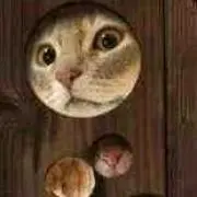 ちぃ