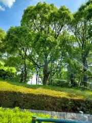 きーchan☆ミの画像