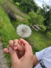 KOKOの画像