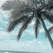 ※配送1週間かかる場合あります　MＥIの画像