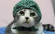 Take7の画像