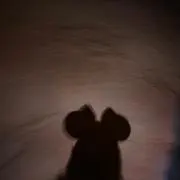 もちちの画像
