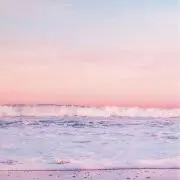 hoの画像