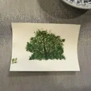 3to4の画像