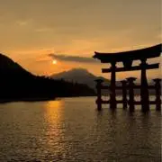 MISAの画像