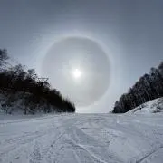 千博