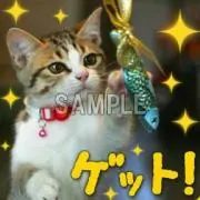 007の画像