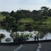 Otama