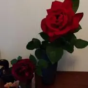 緑の画像