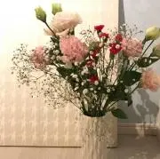 chi.の画像