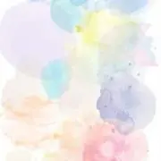 Rの画像