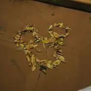なの