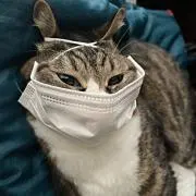 khsksithの画像