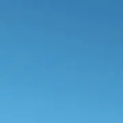 オムの画像