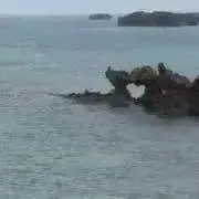 土御門 順