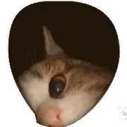 虎ネコ